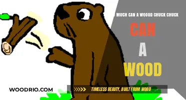 Exploring the Limits: How Much Wood Can a Woodchuck Chuck?