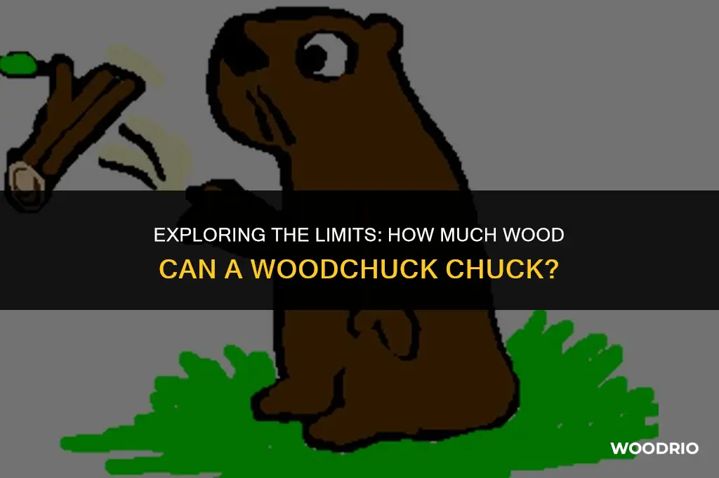 how much can a woood chuck chuck can a wood