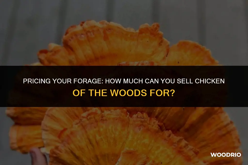 how much can i sell chicken of the woods for