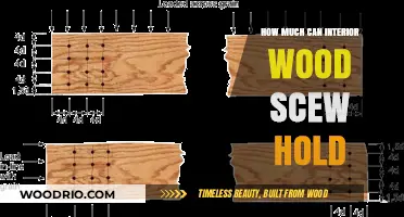 Exploring the Load-Bearing Capacity of Interior Wood Screws