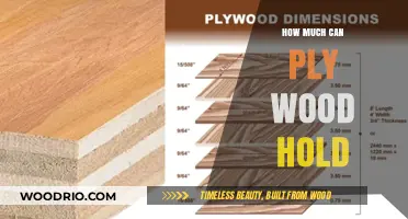Understanding Plywood's Load-Bearing Capacity: A Comprehensive Guide