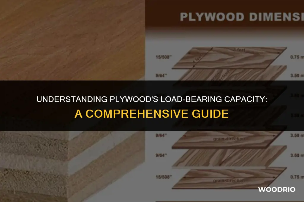 how much can ply wood hold