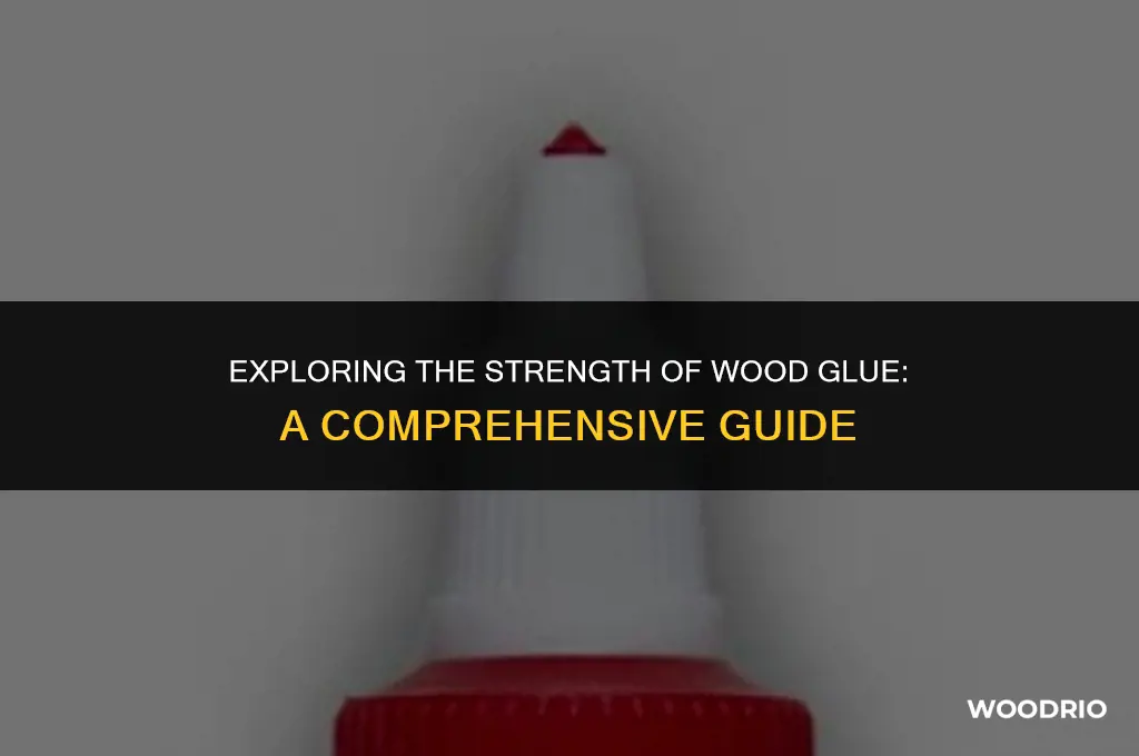 how much can wood glue hold