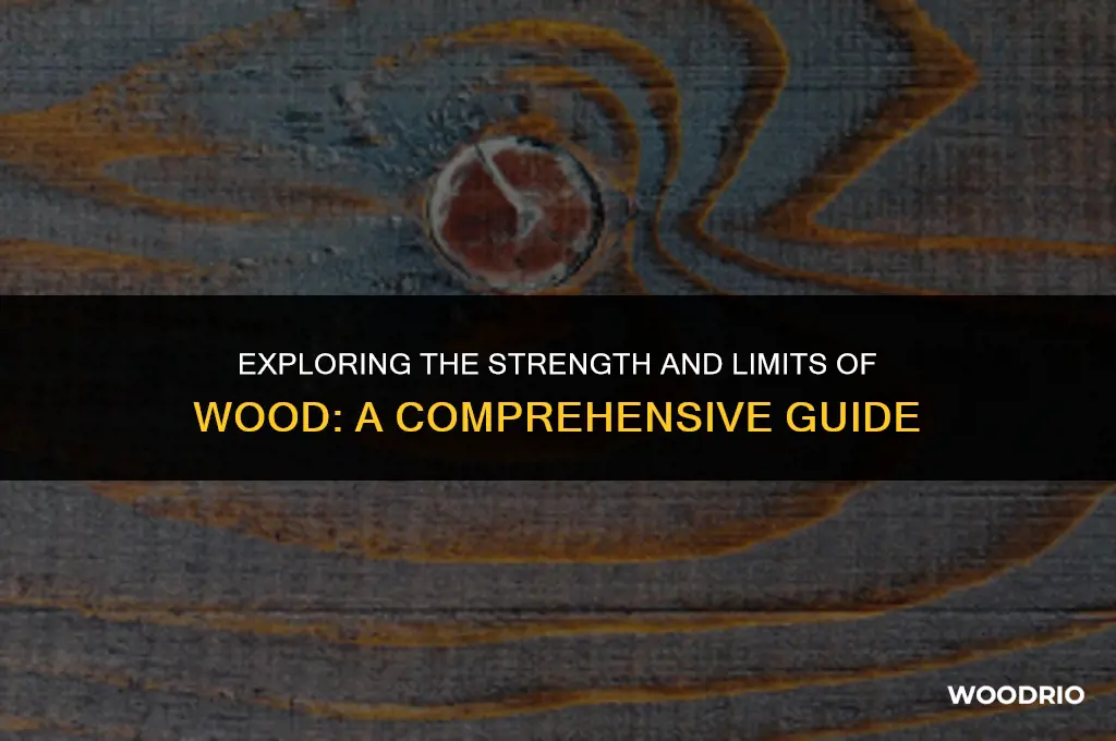 how much can wood hold