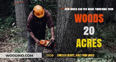 Unlocking the Potential: Timbering Your 20 Acres for Profit
