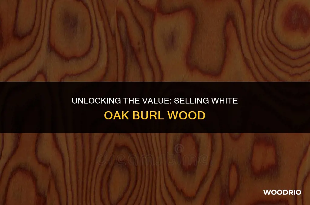 how much can you sell white oak burl wood