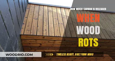Decay's Impact: Unveiling the Carbon Release in Rotting Wood