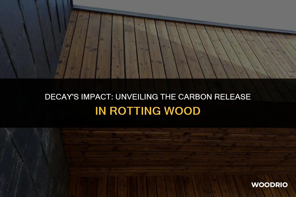how much carbon is released when wood rots