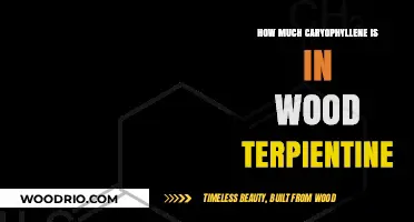 Unlocking Nature's Secrets: Caryophyllene Content in Wood Terpiene Explored