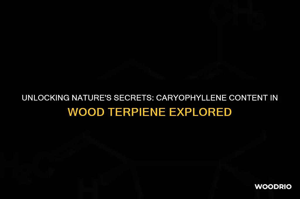 how much caryophyllene is in wood terpientine