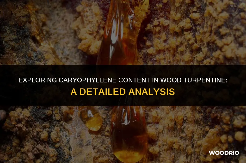 how much caryophyllene is in wood turpentine