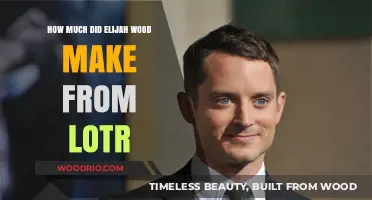 Elijah Wood's Earnings from The Lord of the Rings Trilogy Revealed