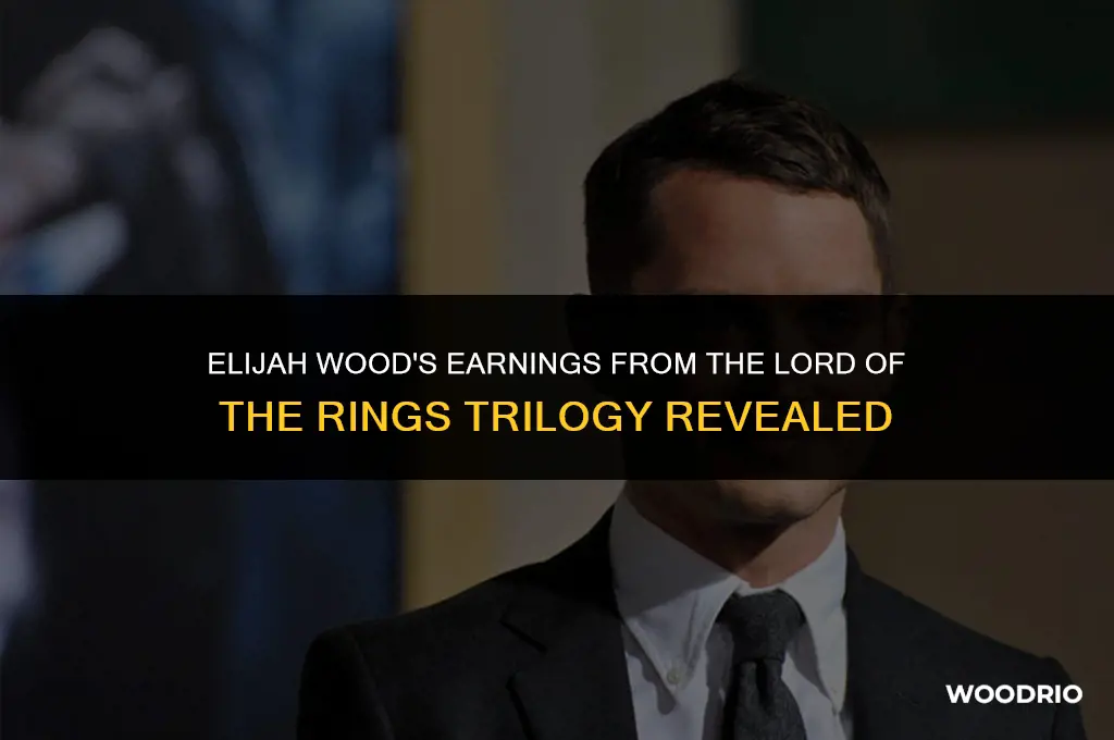 how much did elijah wood make from lotr