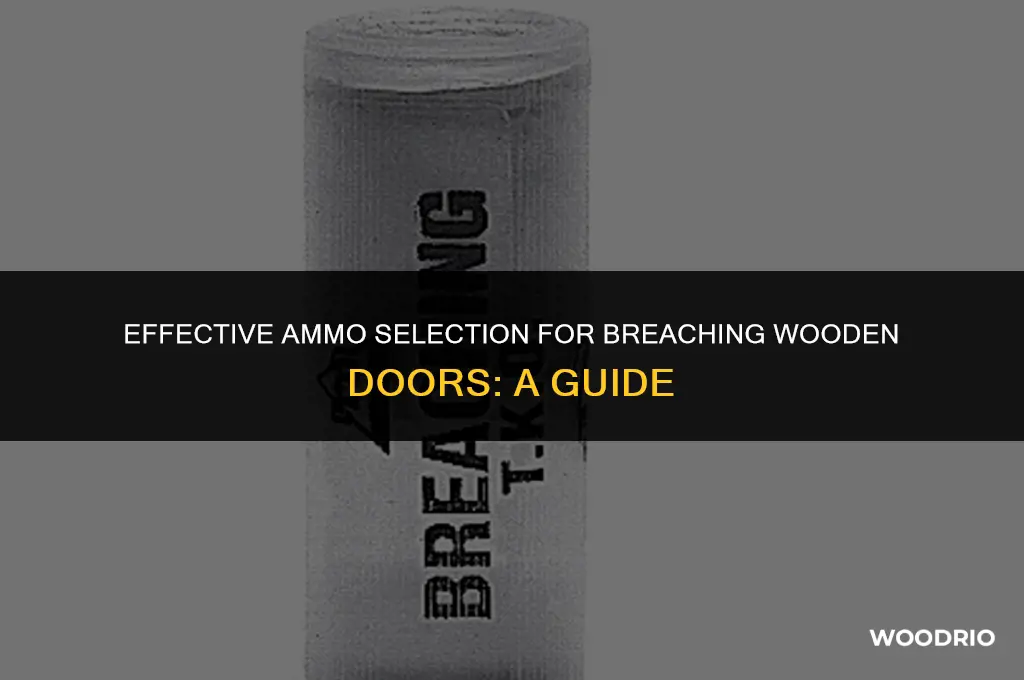 how much explo ammo for wood door