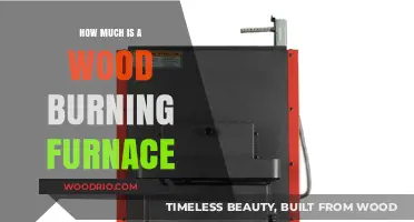 Exploring the Cost of Wood-Burning Furnaces: A Comprehensive Guide