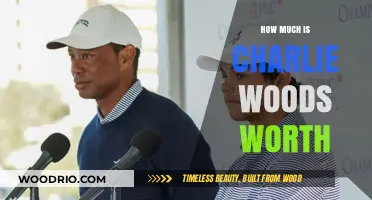 Exploring Charlie Woods' Net Worth: A Comprehensive Breakdown