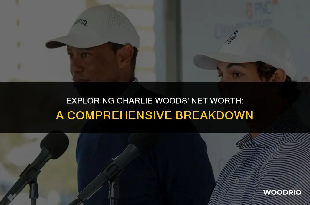 how much is charlie woods worth