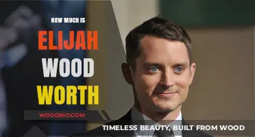 Unveiling Elijah Wood's Net Worth: A Comprehensive Look