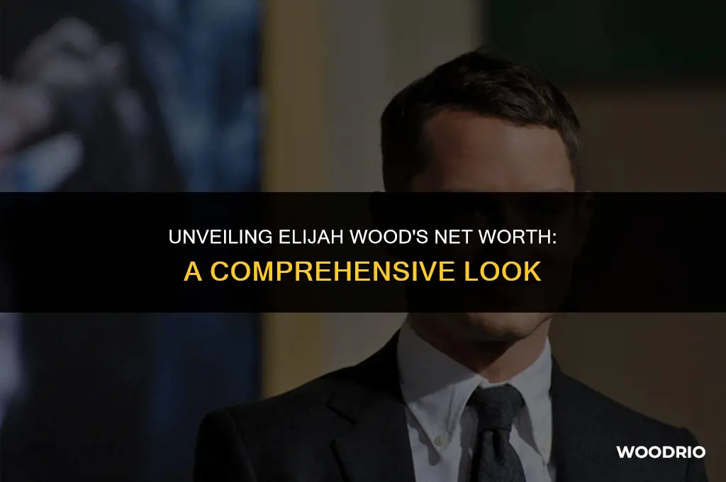 how much is elijah wood worth