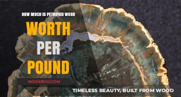 Unveiling the Value: How Much Is Petrified Wood Worth Per Pound?