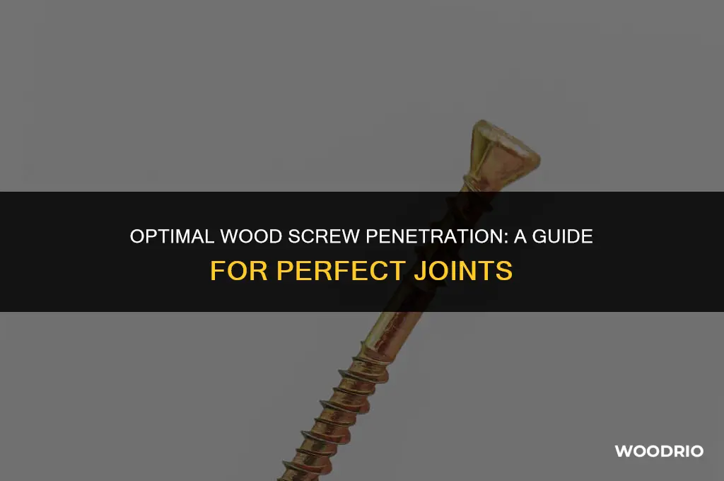 how much of a wood screw length should penetrate