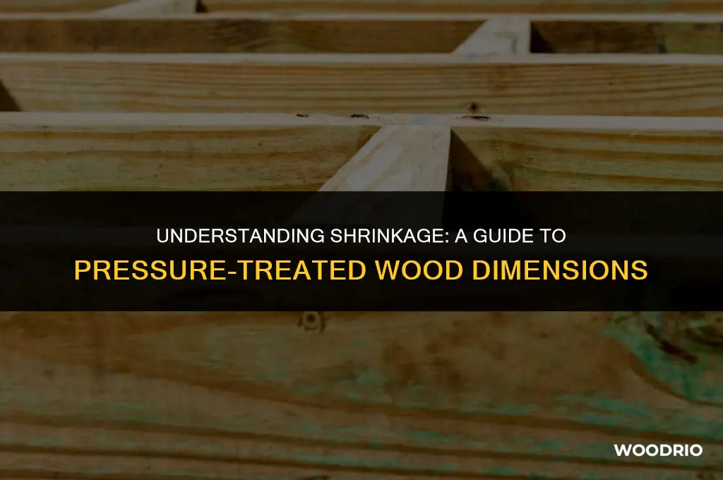 how much will pressure treated wood shrink