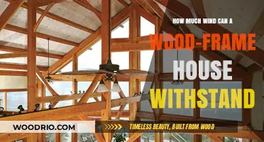 Weathering the Storm: Wind Resilience of Wood-Frame Houses