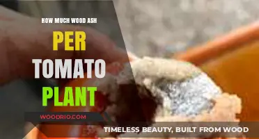 Optimizing Tomato Growth: The Ideal Amount of Wood Ash per Plant