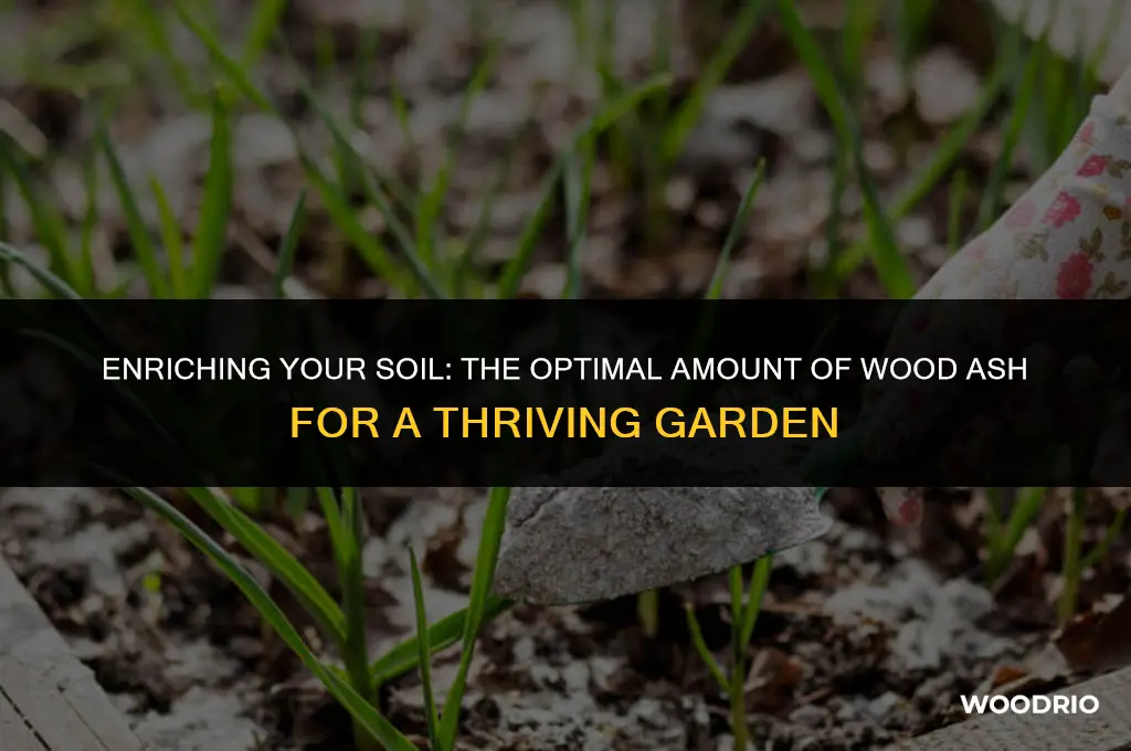 how much wood ash to add to soil
