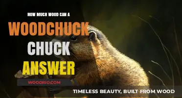 Exploring the Myth: How Much Wood Can a Woodchuck Chuck?