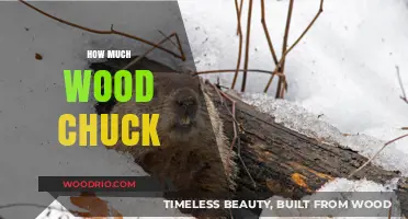 The Chucking Conundrum: Unraveling the Woodchuck's Winter Workload