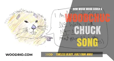 The Catchy Tale of a Woodchuck's Wooden Wonders
