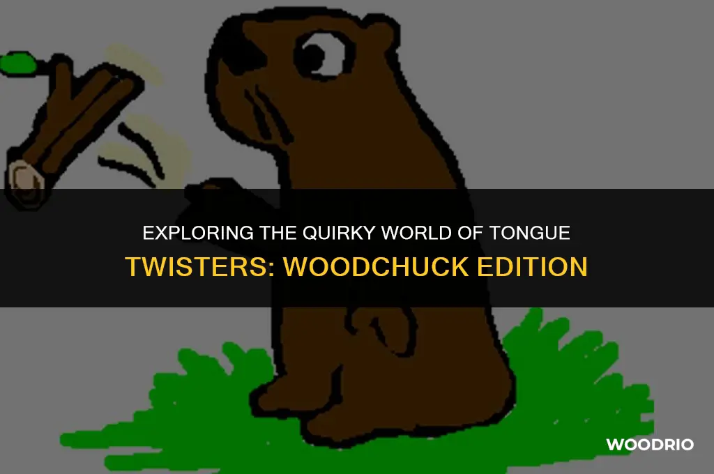 how much wood could a woodchuck chuck tongue twister