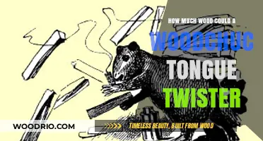 Exploring the Quirky World of Woodchuck Tongue Twisters: A Linguistic Adventure