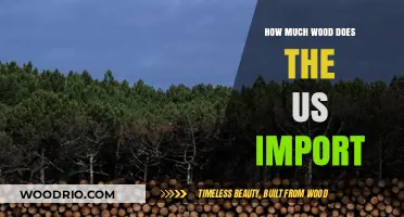 Sustainable Timber Trade: Analyzing US Wood Imports and Their Impact