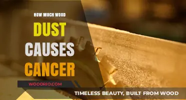 Unveiling the Truth: Wood Dust and Cancer Risk Explained
