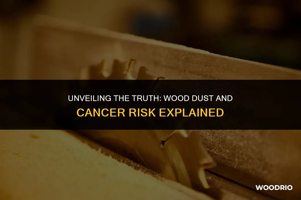 how much wood dust causes cancer