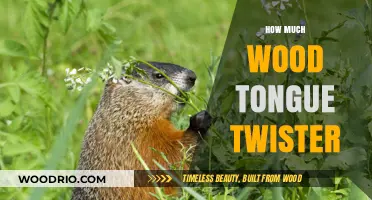 Mastering the 'How Much Wood' Tongue Twister: Tips and Tricks
