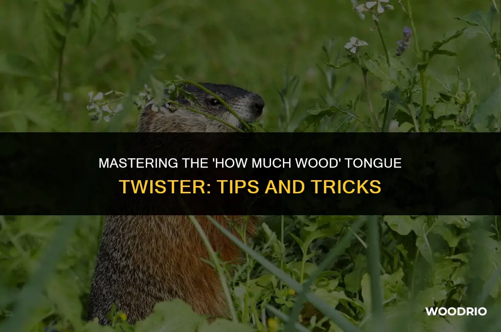 how much wood tongue twister