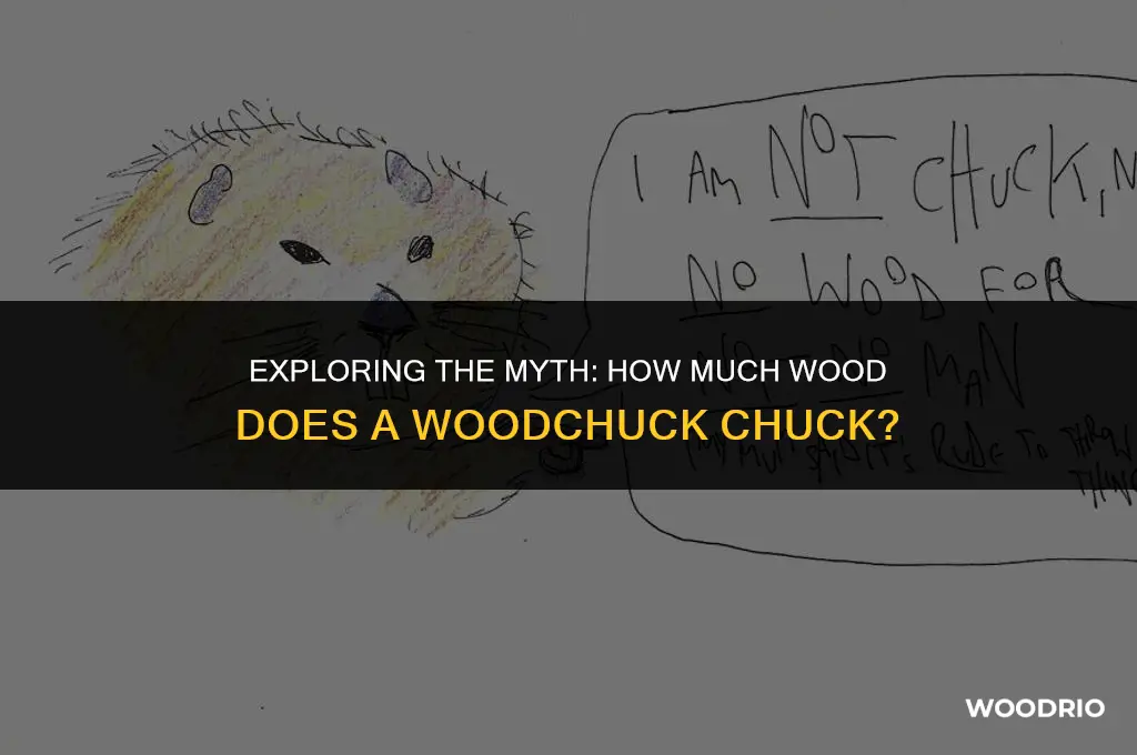 how much woodchuck chuck wood answer