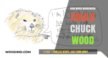 Exploring the Myth: How Much Wood Could a Woodchuck Chuck?