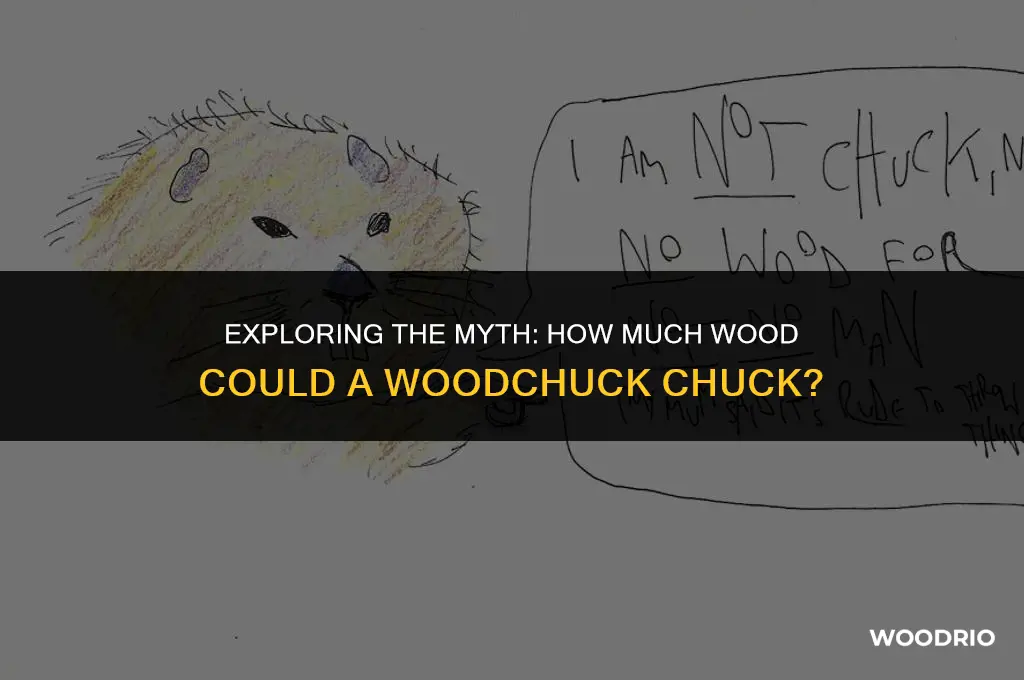 how much woodchuck could chuck wood
