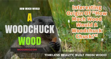 Exploring the Myth: How Much Wood Would a Woodchuck Chuck?