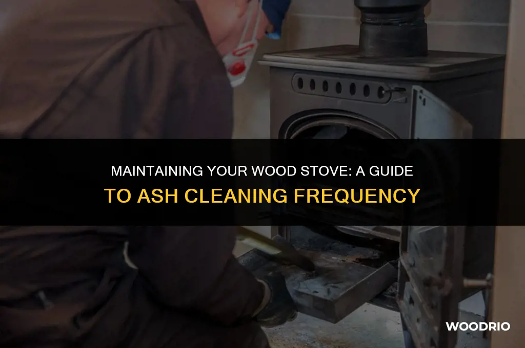 how often should i clean ashes from wood stove