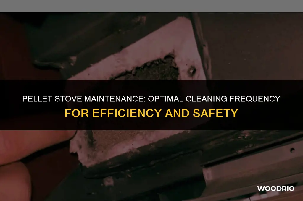 how often should you clean a wood pellet stove
