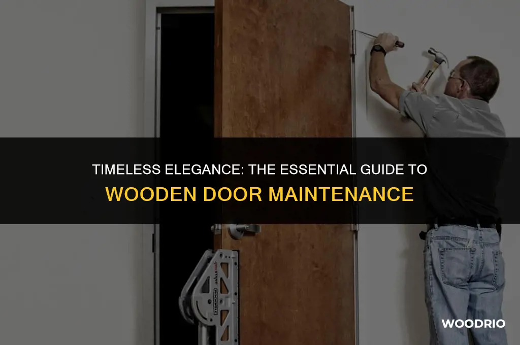 how often treat wooden doors