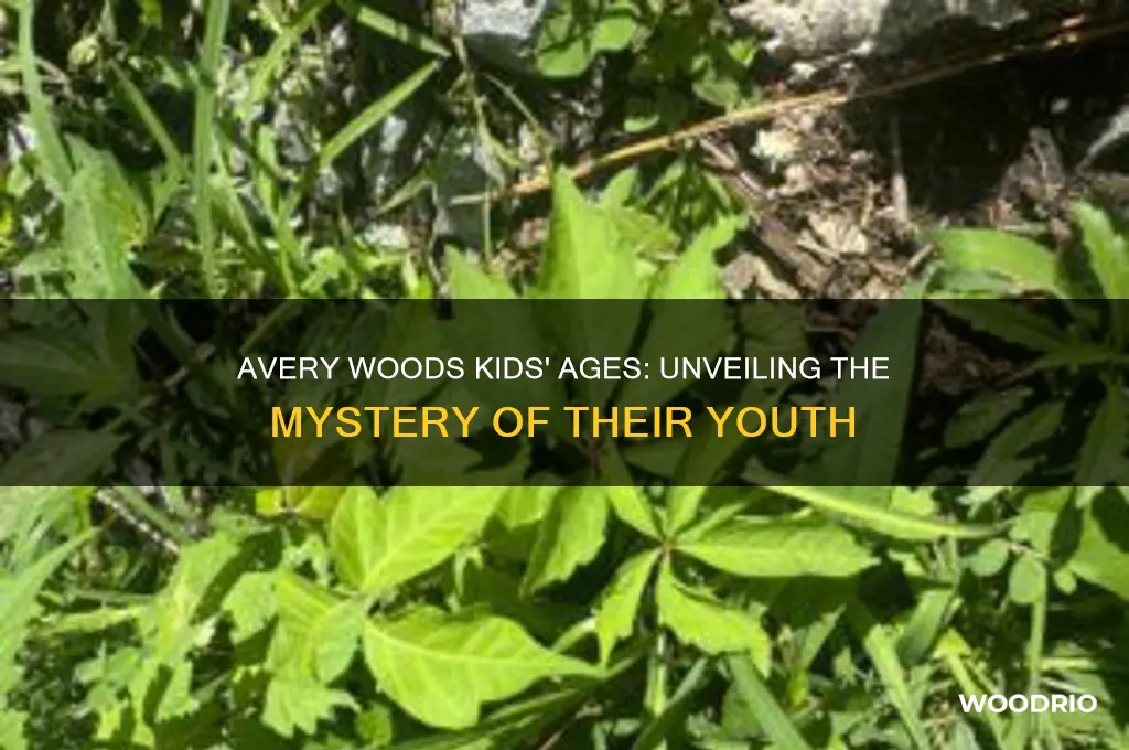 how old are avery woods kids