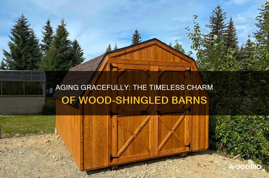how old are barns with wood shingles