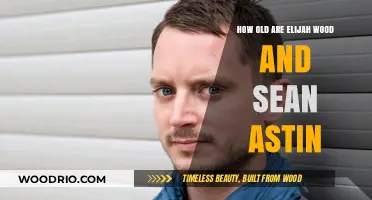 Elijah Wood and Sean Astin: Ages and Timeless Friendship Revealed