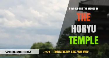 Exploring Horyu Temple's Ancient Woods: Unveiling Their Timeless Age